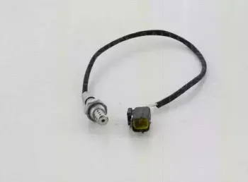 triscan-884521032