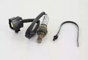 triscan-884521044