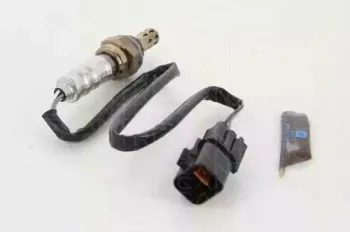triscan-884521064
