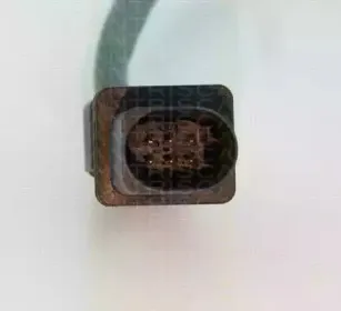 triscan-884523014