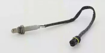 triscan-884523018