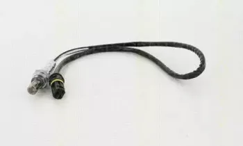 triscan-884523023