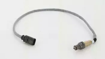 triscan-884523050