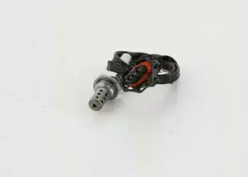 triscan-884524038