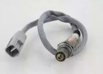 triscan-884524044