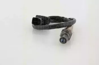triscan-884524046