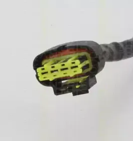 triscan-884524050