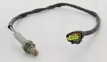 triscan-884524050