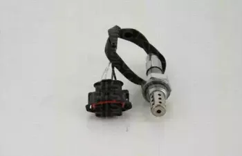 triscan-884524062
