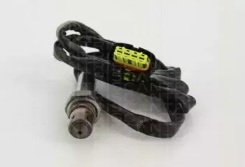 triscan-884524064