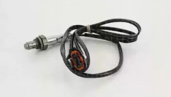 triscan-884524077