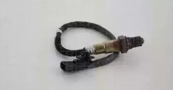 triscan-884525025