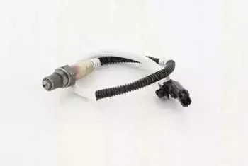 triscan-884525032