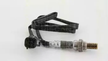 triscan-884527011