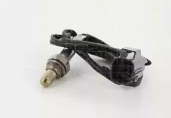 triscan-884527013