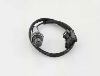 triscan-884527016