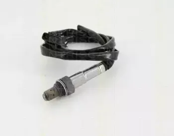 triscan-884527021