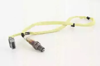 triscan-884527026
