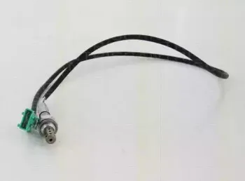 triscan-884527046