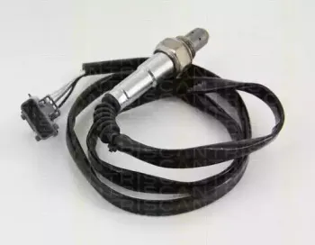 triscan-884527060