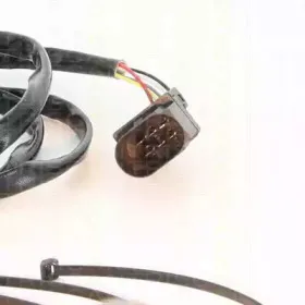 triscan-884529002