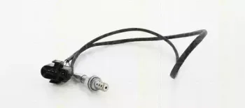 triscan-884529004