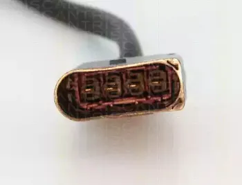 triscan-884529006