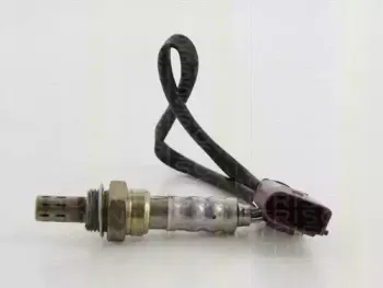 triscan-884529015