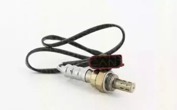 triscan-884529018