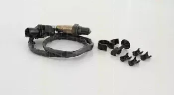 triscan-884529019