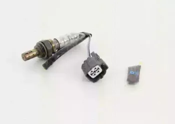 triscan-884529039