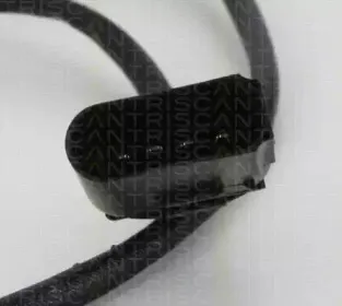 triscan-884529045