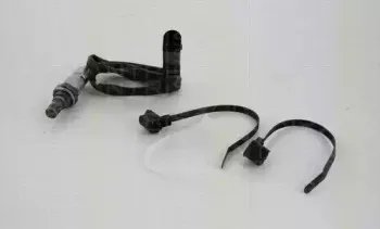 triscan-884529053