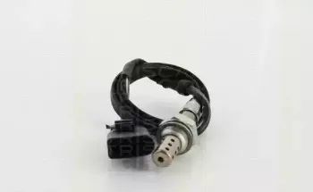 triscan-884529063