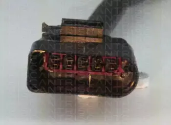 triscan-884529088