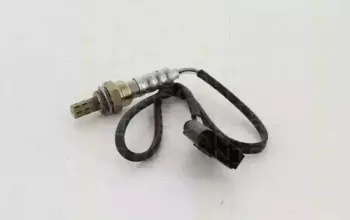 triscan-884529099