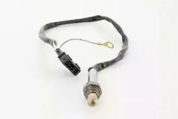 triscan-884529124