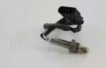 triscan-884529162