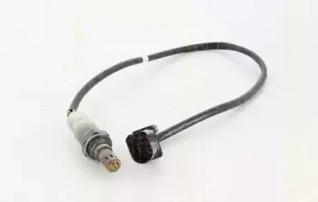 triscan-884529166