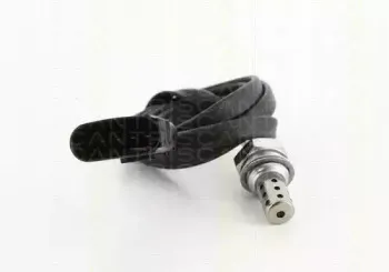 triscan-884529167