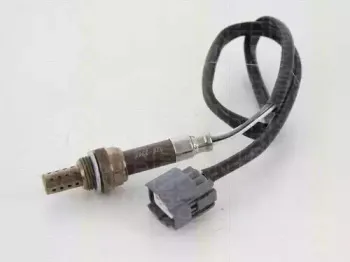 triscan-884540013