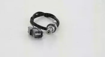 triscan-884540072