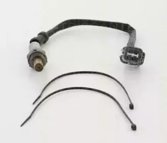 triscan-884540501