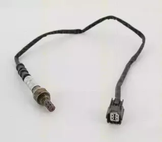 triscan-884540510