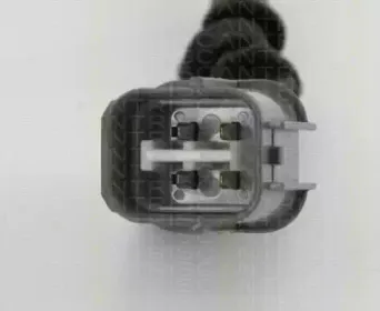 triscan-884540513