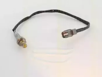 triscan-884540521