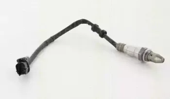 triscan-884540524