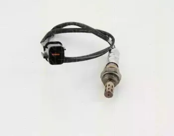 triscan-884542012
