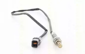 triscan-884542503