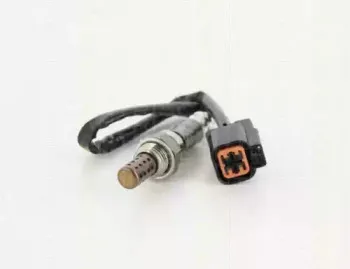 triscan-884542509